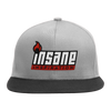 I.N.S.A.N.E Logo - Snapback Hat